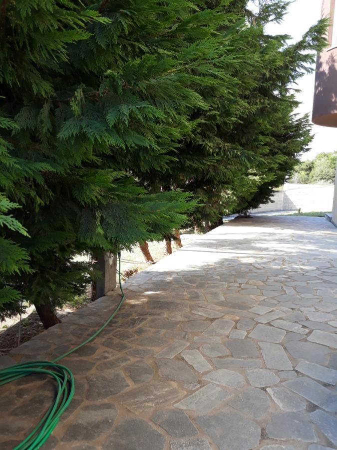 Apartment Ithakis Nea Iraklitsa Екстер'єр фото